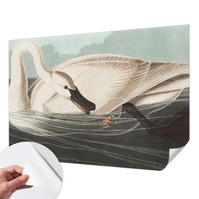 Fototapeta na ścianę Fototapeta na ścianę