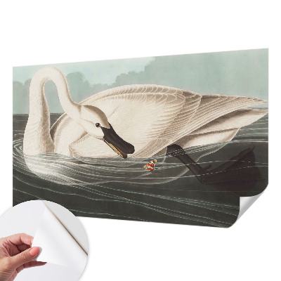 Fototapeta na ścianę Fototapeta na ścianę