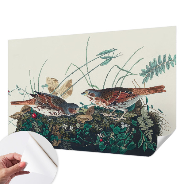 Tapeta fotograficzna Tapeta fotograficzna