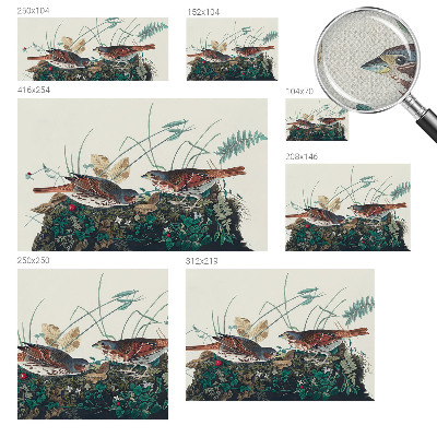 Tapeta fotograficzna Tapeta fotograficzna