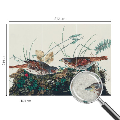 Tapeta fotograficzna Tapeta fotograficzna