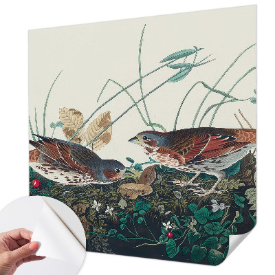 Tapeta fotograficzna Tapeta fotograficzna