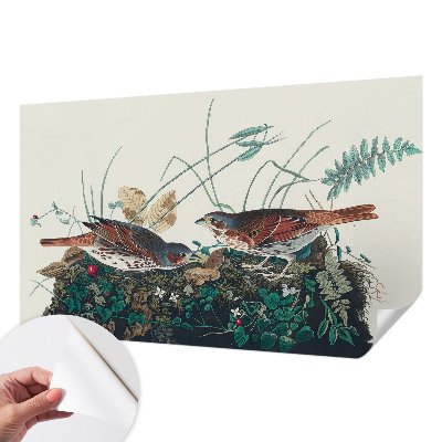 Tapeta fotograficzna Tapeta fotograficzna