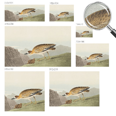 Tapeta fotograficzna samoprzylepna Tapeta fotograficzna samoprzylepna