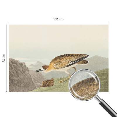 Tapeta fotograficzna samoprzylepna Tapeta fotograficzna samoprzylepna