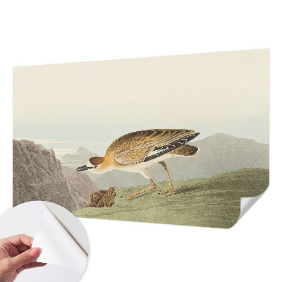 Tapeta fotograficzna samoprzylepna Tapeta fotograficzna samoprzylepna