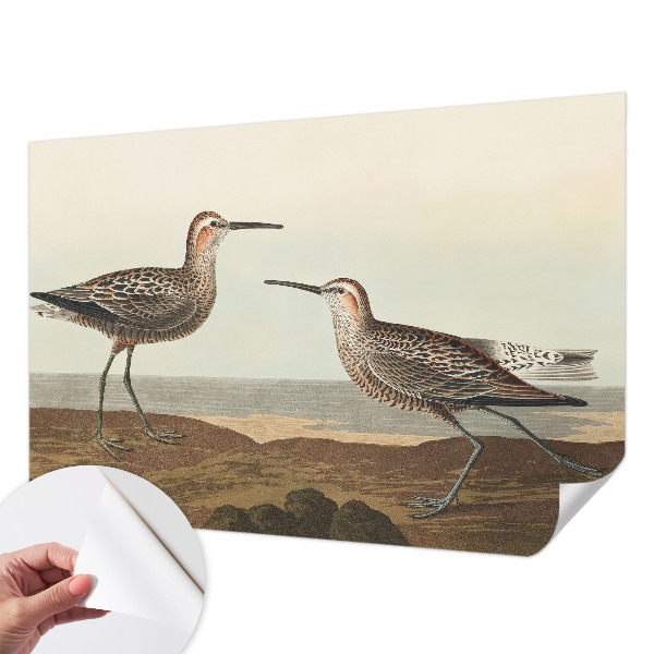 Tapeta fotograficzna samoprzylepna Tapeta fotograficzna samoprzylepna