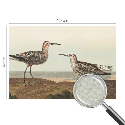 Tapeta fotograficzna samoprzylepna z motywem ptasich sylwetek