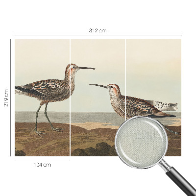 Tapeta fotograficzna samoprzylepna z motywem ptasich sylwetek