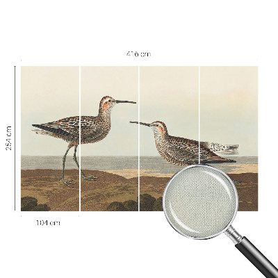 Tapeta fotograficzna samoprzylepna z motywem ptasich sylwetek