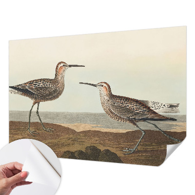 Tapeta fotograficzna samoprzylepna Tapeta fotograficzna samoprzylepna