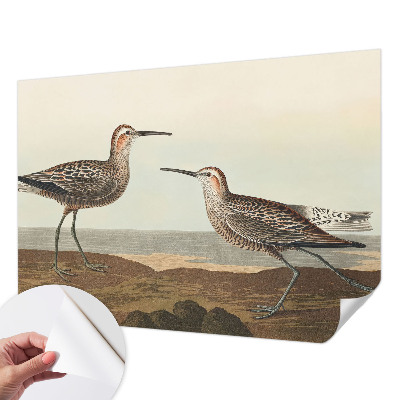 Tapeta fotograficzna samoprzylepna Tapeta fotograficzna samoprzylepna