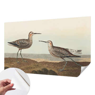 Tapeta fotograficzna samoprzylepna z motywem ptasich sylwetek