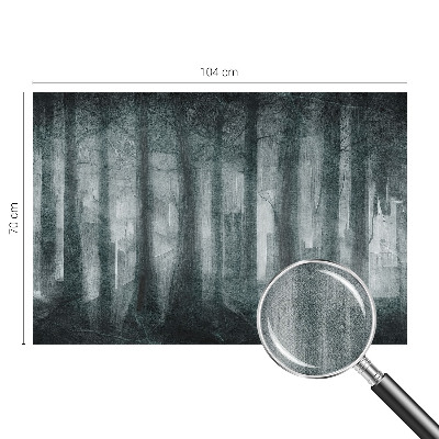 Tapeta fotograficzna z motywem tajemniczego lasu
