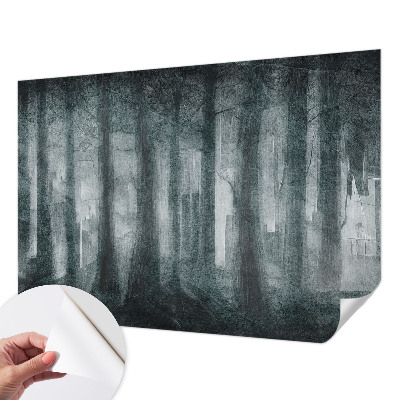 Tapeta fotograficzna z motywem tajemniczego lasu