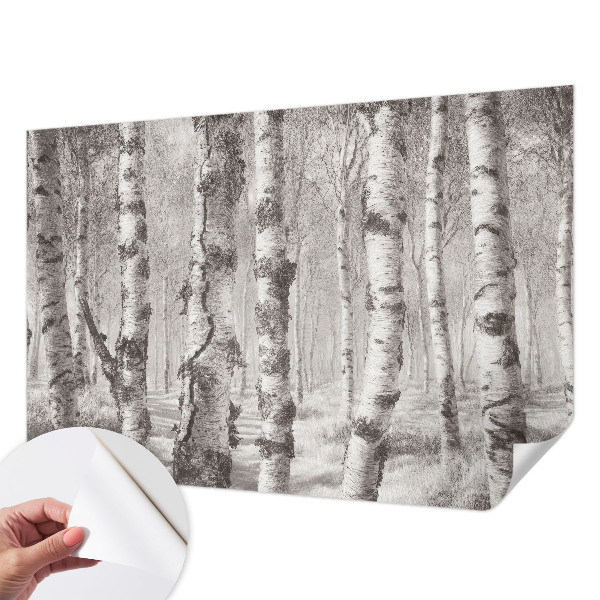 Fototapeta samoprzylepna do sypialni z motywem brzozowego lasu