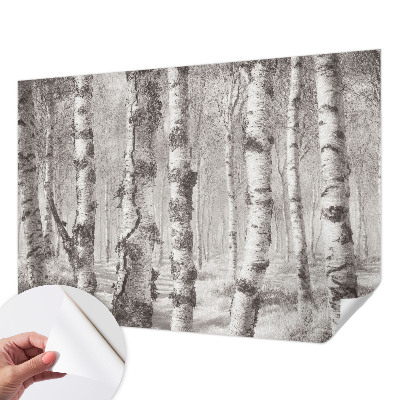 Fototapeta samoprzylepna do sypialni z motywem brzozowego lasu