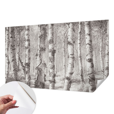 Fototapeta samoprzylepna do sypialni z motywem brzozowego lasu