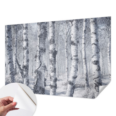 Fototapeta na ścianę Mroźna natura