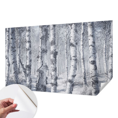 Fototapeta na ścianę z motywem mroźnej natury