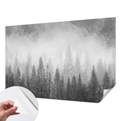 Dekoracyjna fototapeta na ścianę Leśna mgła