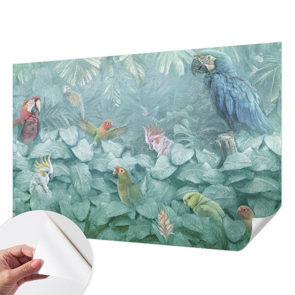 Fototapeta na ścianę Fototapeta na ścianę