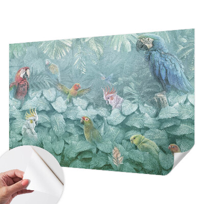 Fototapeta na ścianę Fototapeta na ścianę