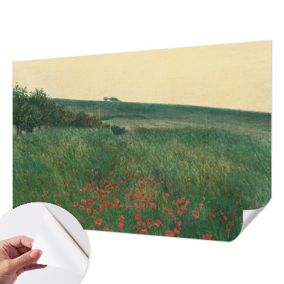 Tapeta fotograficzna samoprzylepna z motywem makowych pól
