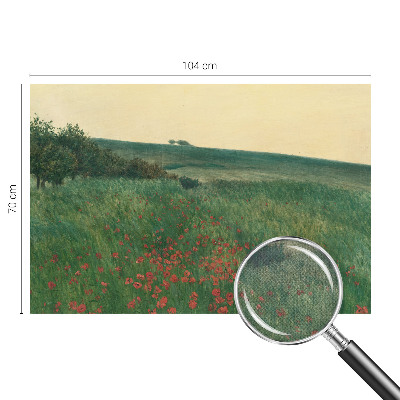 Tapeta fotograficzna samoprzylepna z motywem makowych pól