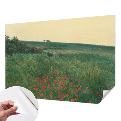 Tapeta fotograficzna samoprzylepna z motywem makowych pól
