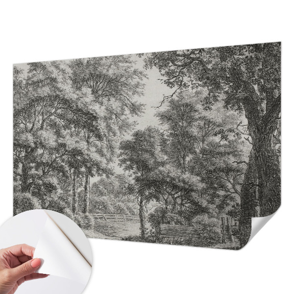 Tapeta fotograficzna samoprzylepna z motywem leśnej scenerii