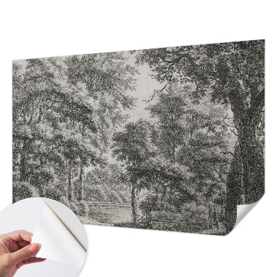 Tapeta fotograficzna samoprzylepna Leśna sceneria
