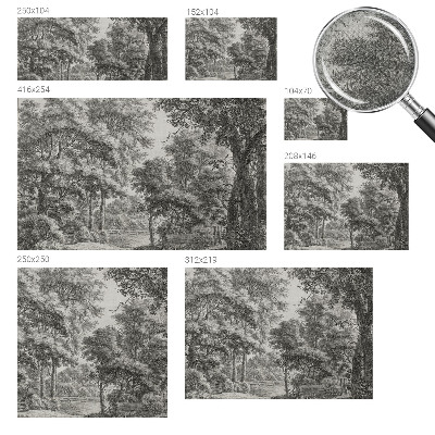 Tapeta fotograficzna samoprzylepna z motywem leśnej scenerii