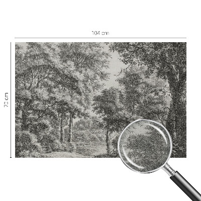 Tapeta fotograficzna samoprzylepna z motywem leśnej scenerii