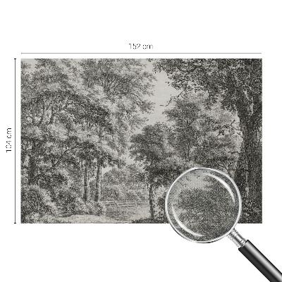 Tapeta fotograficzna samoprzylepna z motywem leśnej scenerii