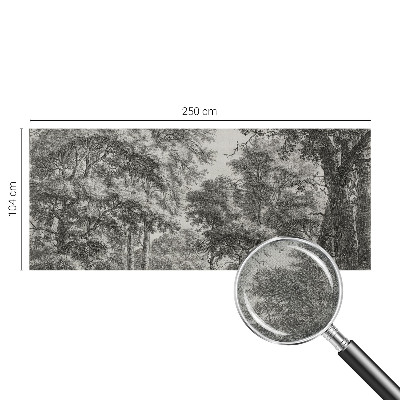 Tapeta fotograficzna samoprzylepna z motywem leśnej scenerii