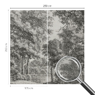 Tapeta fotograficzna samoprzylepna z motywem leśnej scenerii