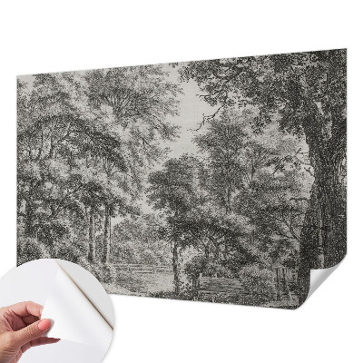 Tapeta fotograficzna samoprzylepna z motywem leśnej scenerii