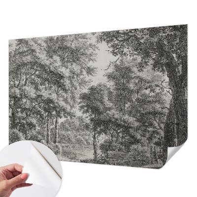Tapeta fotograficzna samoprzylepna z motywem leśnej scenerii