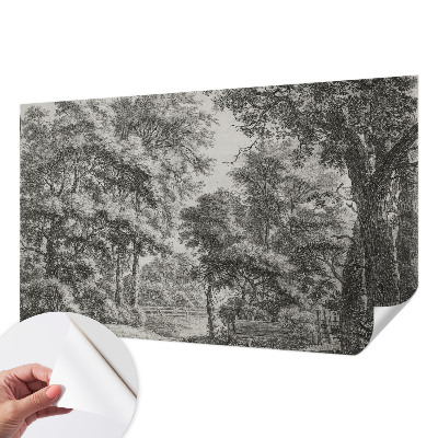 Tapeta fotograficzna samoprzylepna z motywem leśnej scenerii