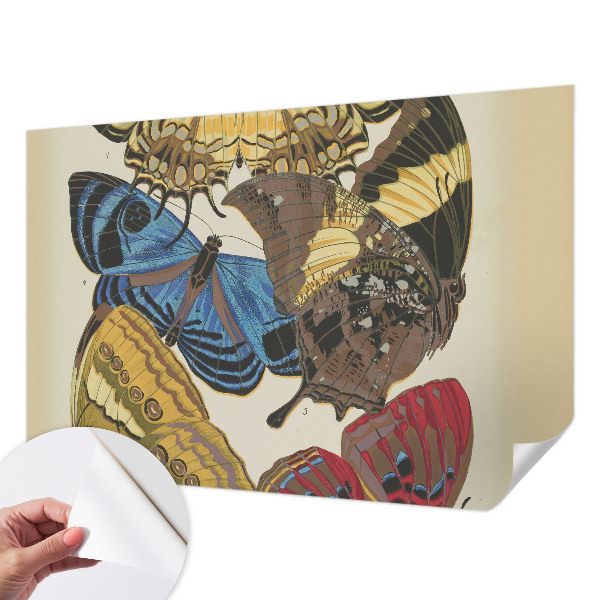 Fototapeta na ścianę Fototapeta na ścianę