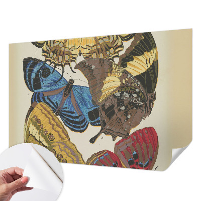 Fototapeta na ścianę Fototapeta na ścianę