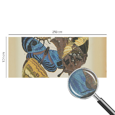 Fototapeta na ścianę Fototapeta na ścianę