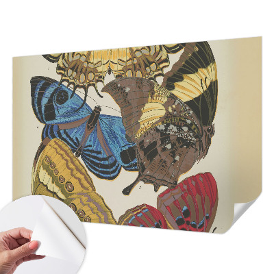 Fototapeta na ścianę z motywem inspirowanym motylami