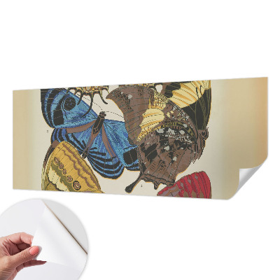 Fototapeta na ścianę z motywem inspirowanym motylami