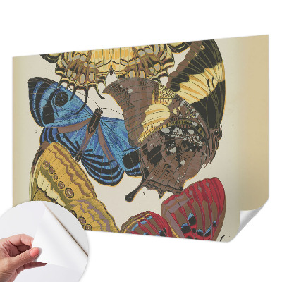 Fototapeta na ścianę Fototapeta na ścianę