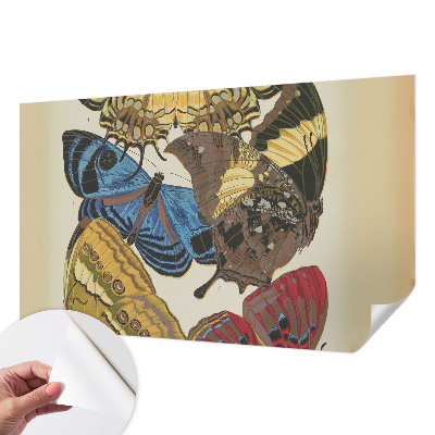 Fototapeta na ścianę z motywem inspirowanym motylami