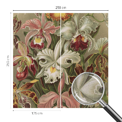 Tapeta fotograficzna Tapeta fotograficzna