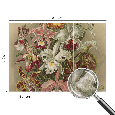 Tapeta fotograficzna Tapeta fotograficzna