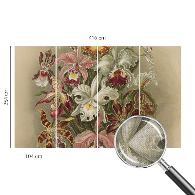 Tapeta fotograficzna Tapeta fotograficzna